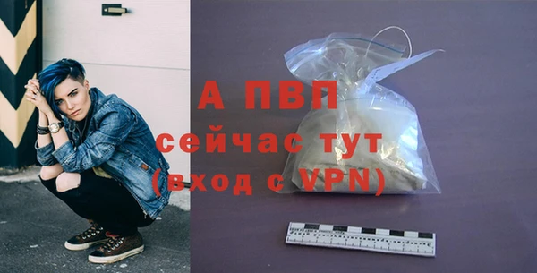 a pvp Абаза