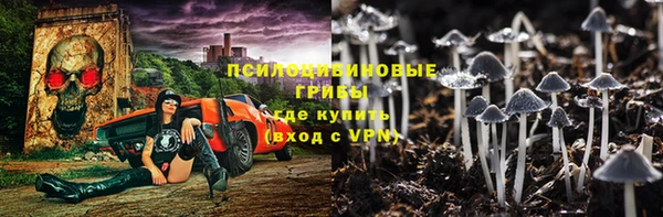 мдпв Новодвинск