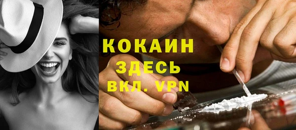 спайс Алексин